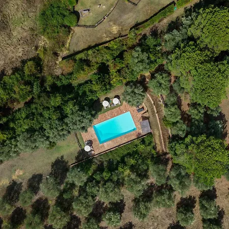 Torre * Siena